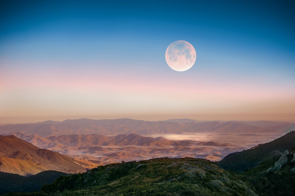 Photo by Shot by Cerqueira on Unsplash