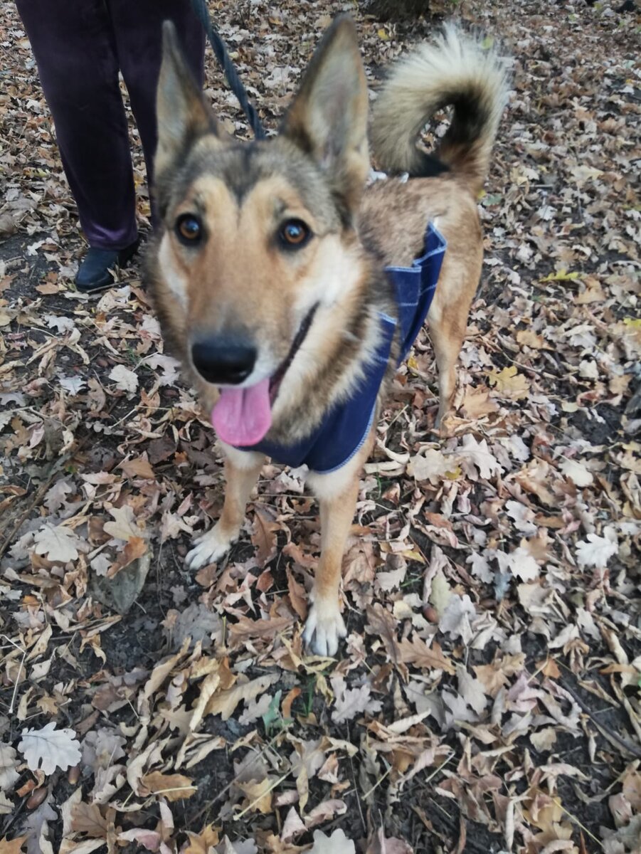 Вот так она смотрела на всех людей, которых видела около того самого долгостроя. Но никого не заинтересовала