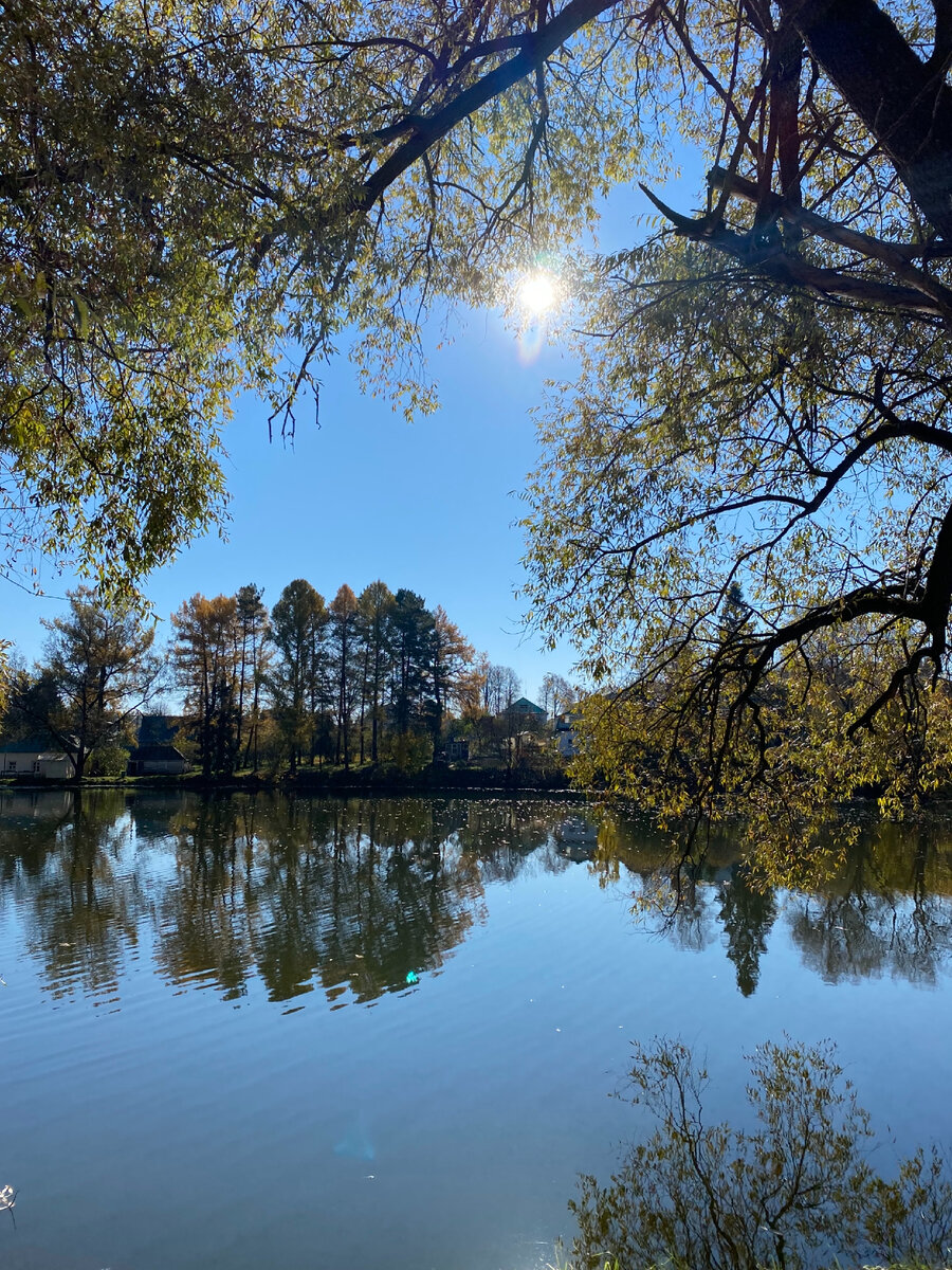 Пруд в усадьбе