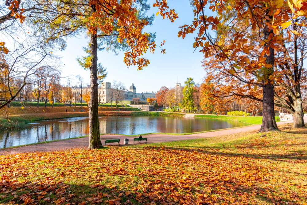 Ленинградская область. Гатчина. Большой Гатчинский дворец. Фото: shutterstock.com
