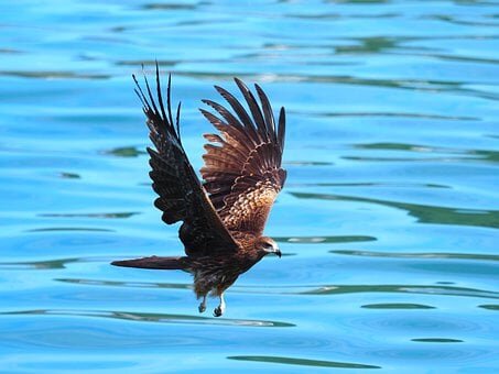 фото взято из открытых источников