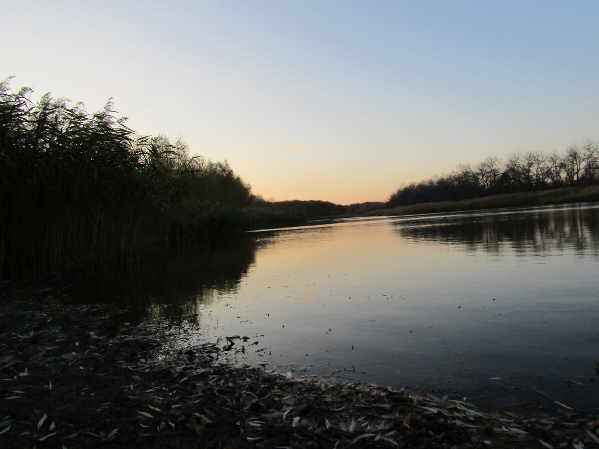 Красивое место на водоёме с щукой.