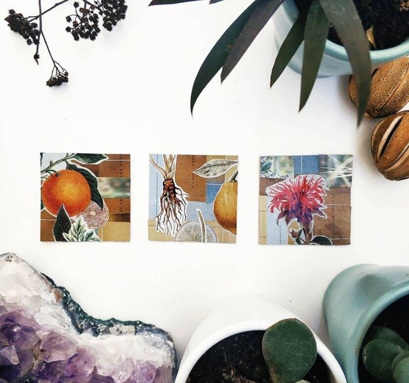 Ботаническая серия 5*5 см, коллаж Сидорина Анастасия