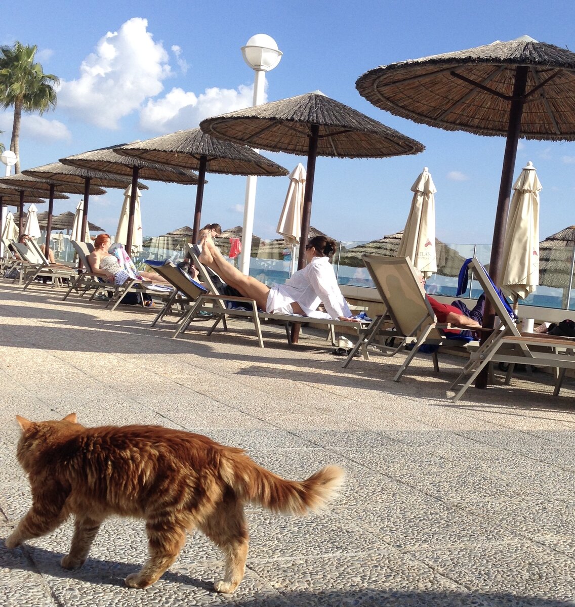 Лимассол. 6 января 2018 г.