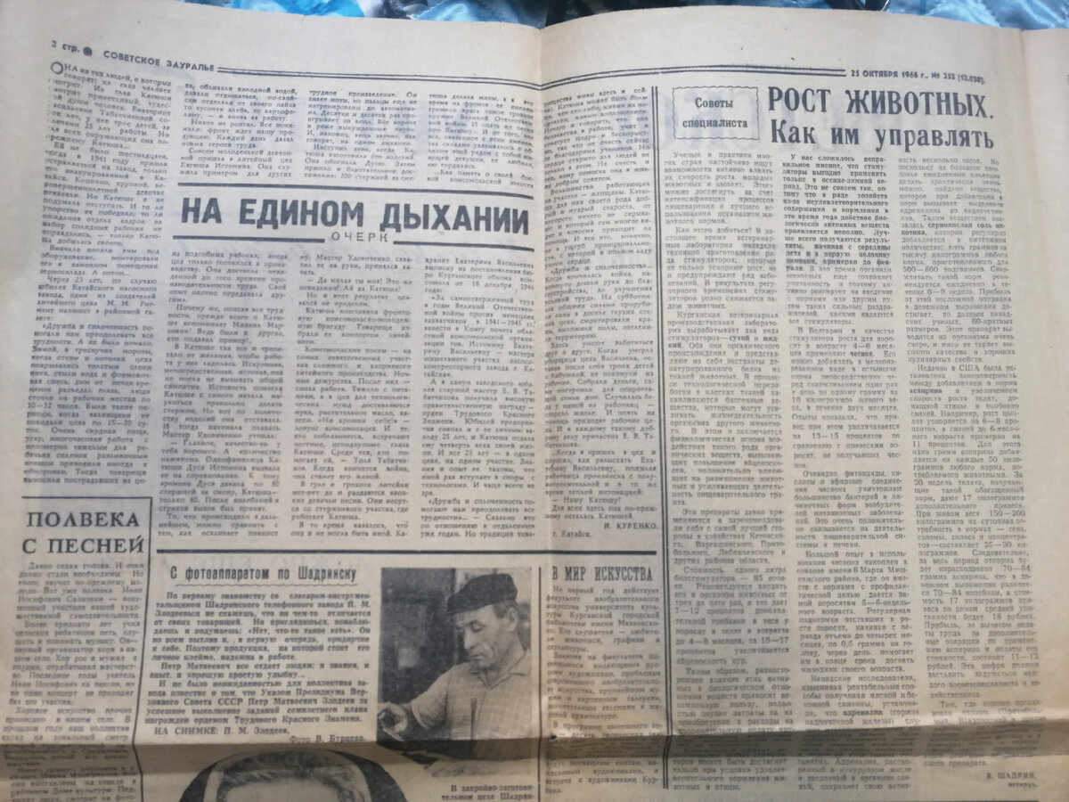 Нашла дома советскую газету, которой 55 лет. Нефть из пробирки и даже про  США и Кубу. | жизнь и Крым | Дзен