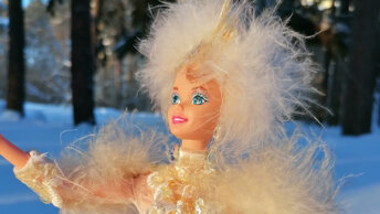 Snow Barbie, princess. Зимы, воплощение.