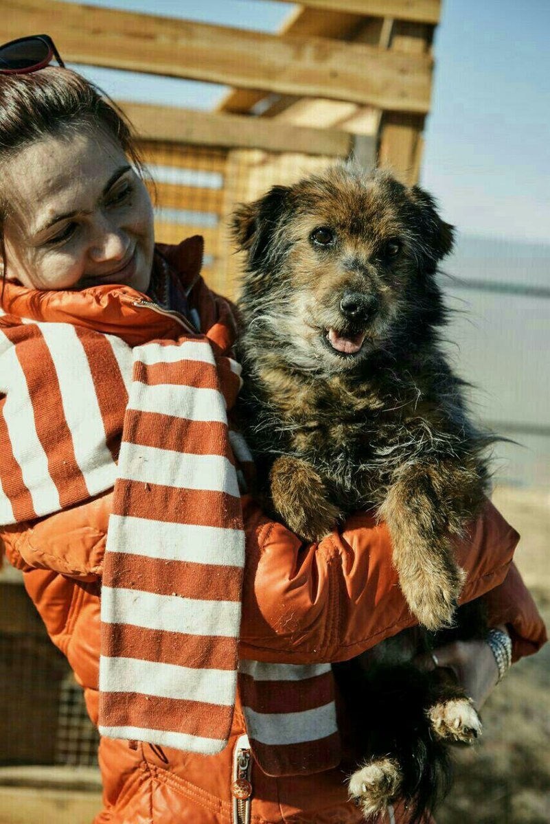 Тотошка с другом проекта Аришей в Жил-был пес