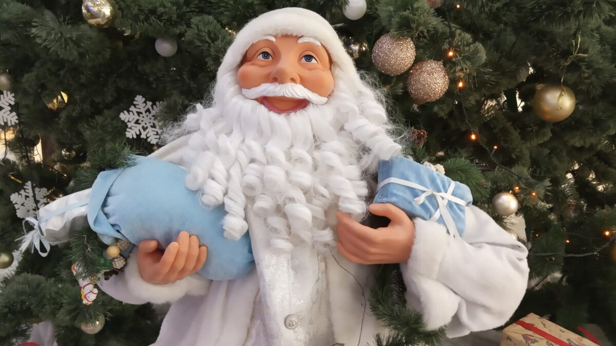 Дед Мороз и сам мечтает о подарке! Фото Елены Лабо