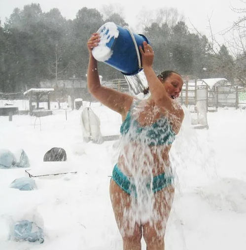 Яндекс картинки 