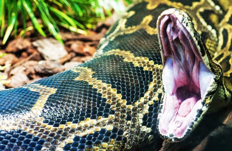 Взято с Яндекс Картинки. 