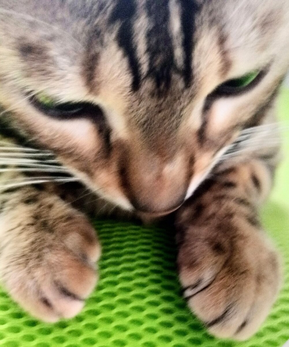 "Весь Мир идёт на Меня войной!!!"