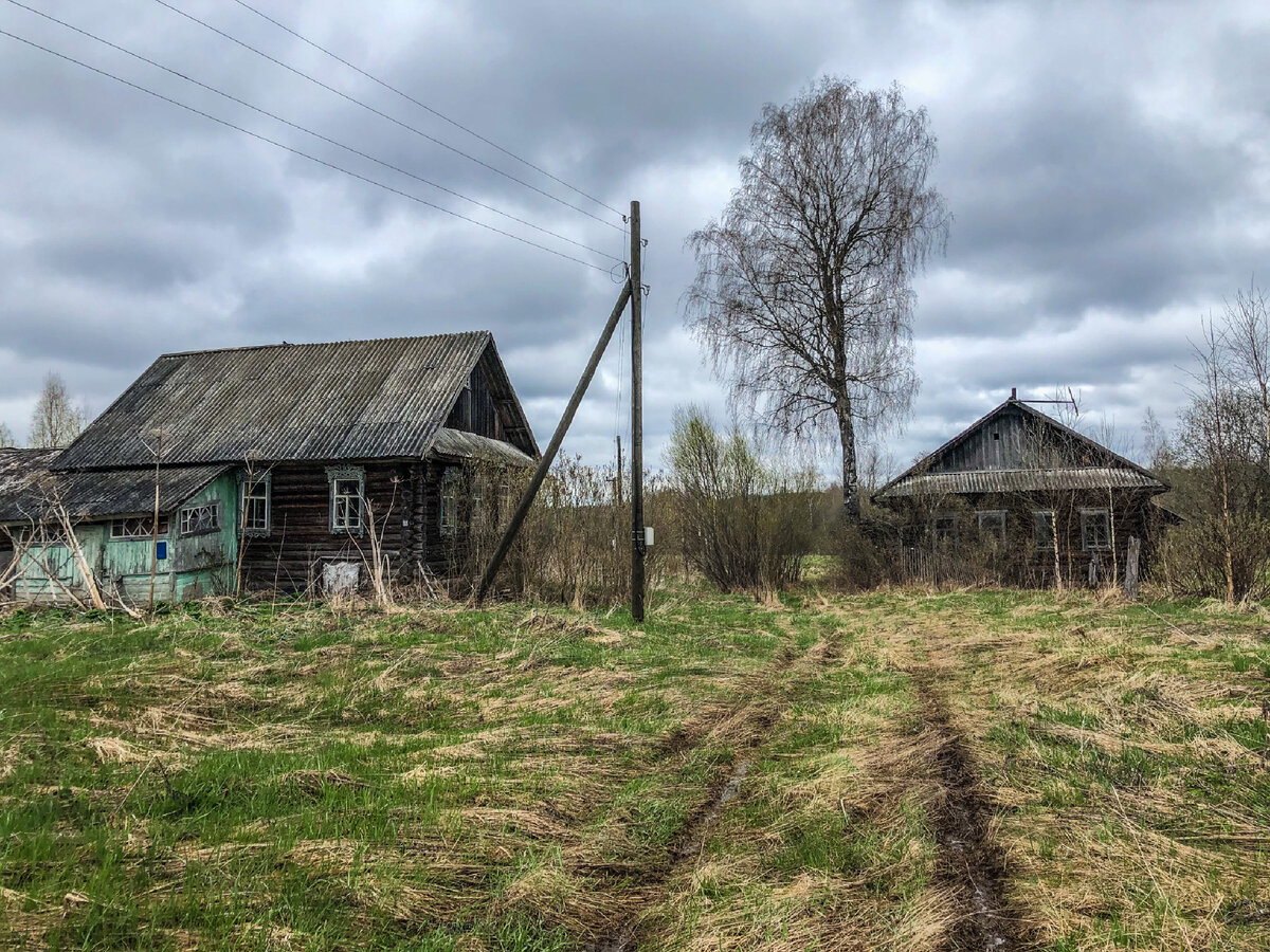 Так заканчивается деревня. В прямом и переносном смысле | Тверская - вот  она какая | Дзен