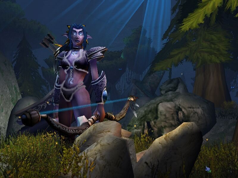 Трехмерные модели в режиме "кампании" позже были реализованы в World of Warcraft, за которой я провёл сотни, тысячи или сотни тысяч часов :)