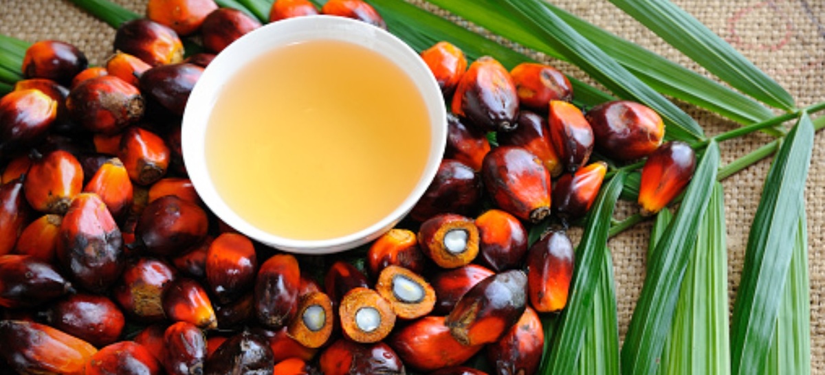 Источник: Pixabay