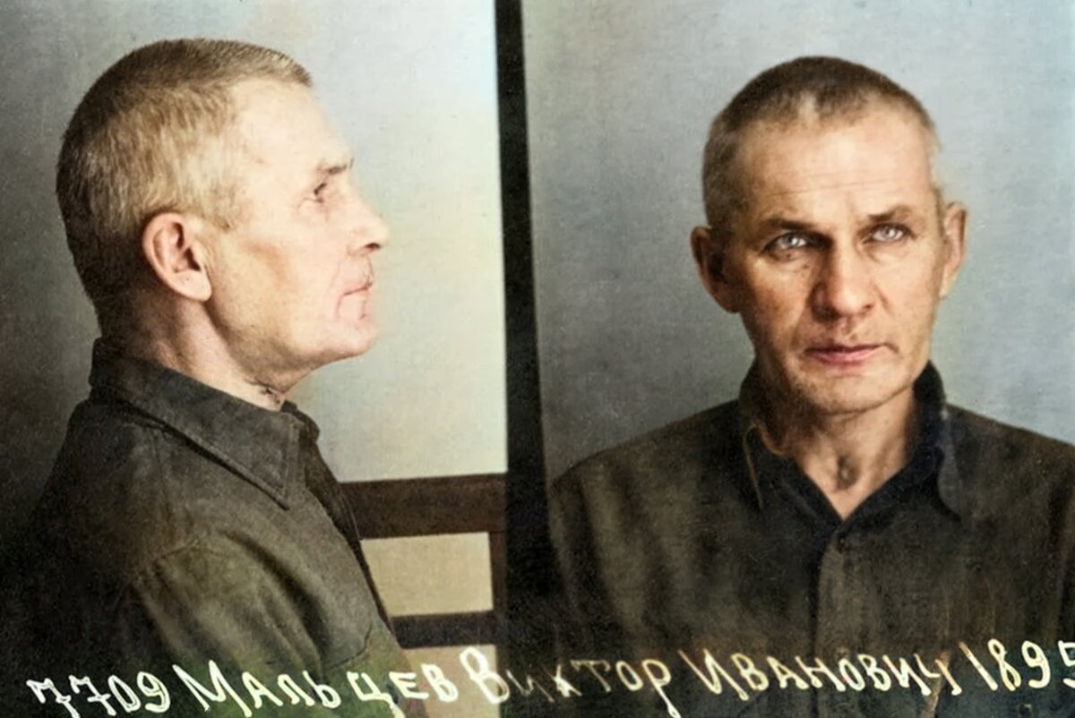 Карикатуры на бандеровцев. Повешенные предатели родины. Удел предателя вов. Предатель генерал власов. Удел предателя вов.