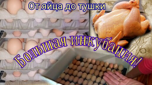 РЕКОМЕНДУЕМ ТАКЖЕ