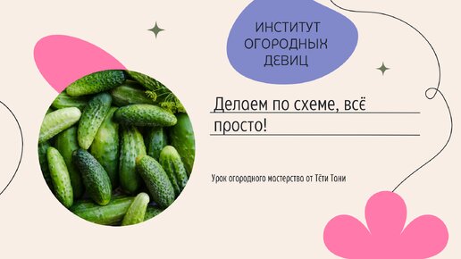 Огурцы. Черенкование