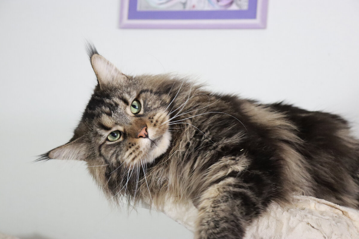 Фото из личного архива.