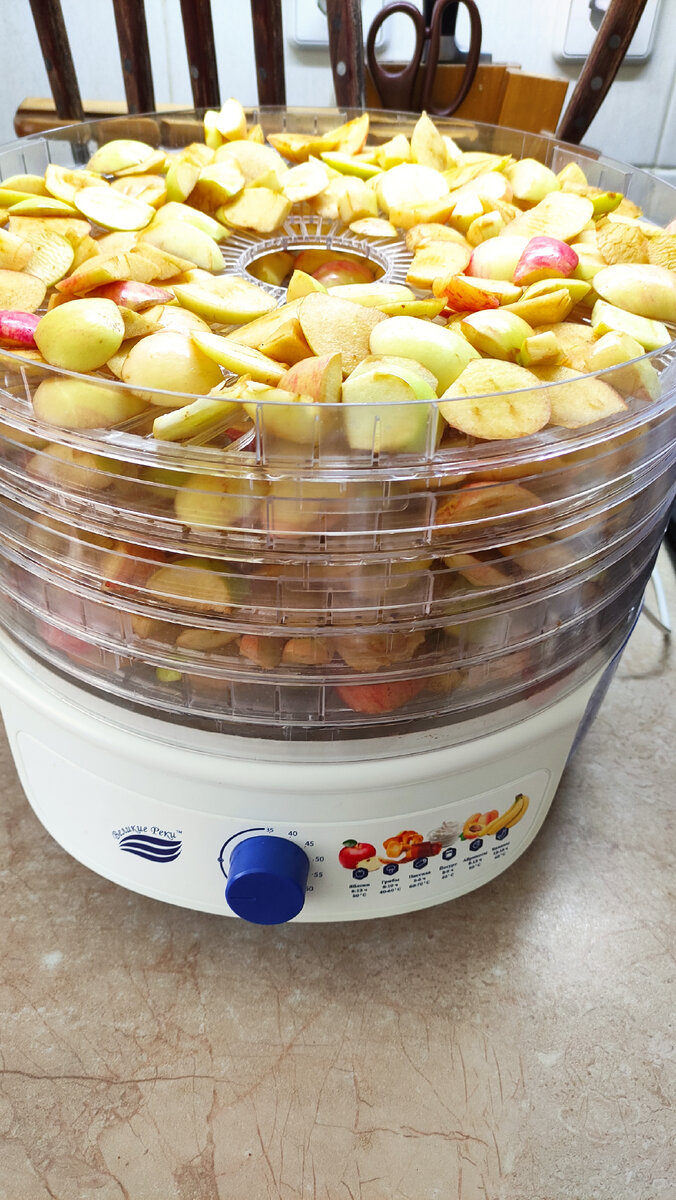 Сушка яблок начало