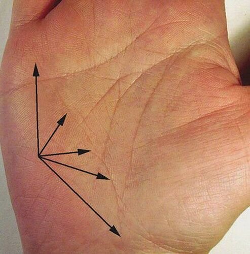 Изображение взято в свободном доступе в сети Интернет