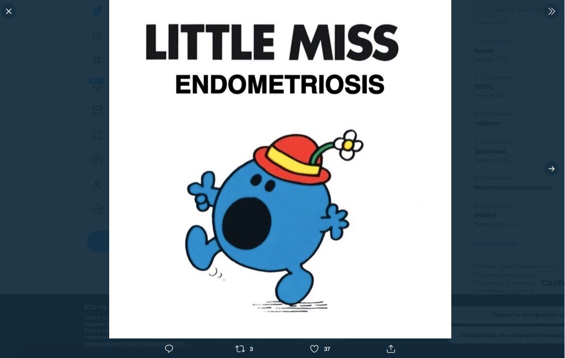    «Маленькая мисс и эндометриоз»