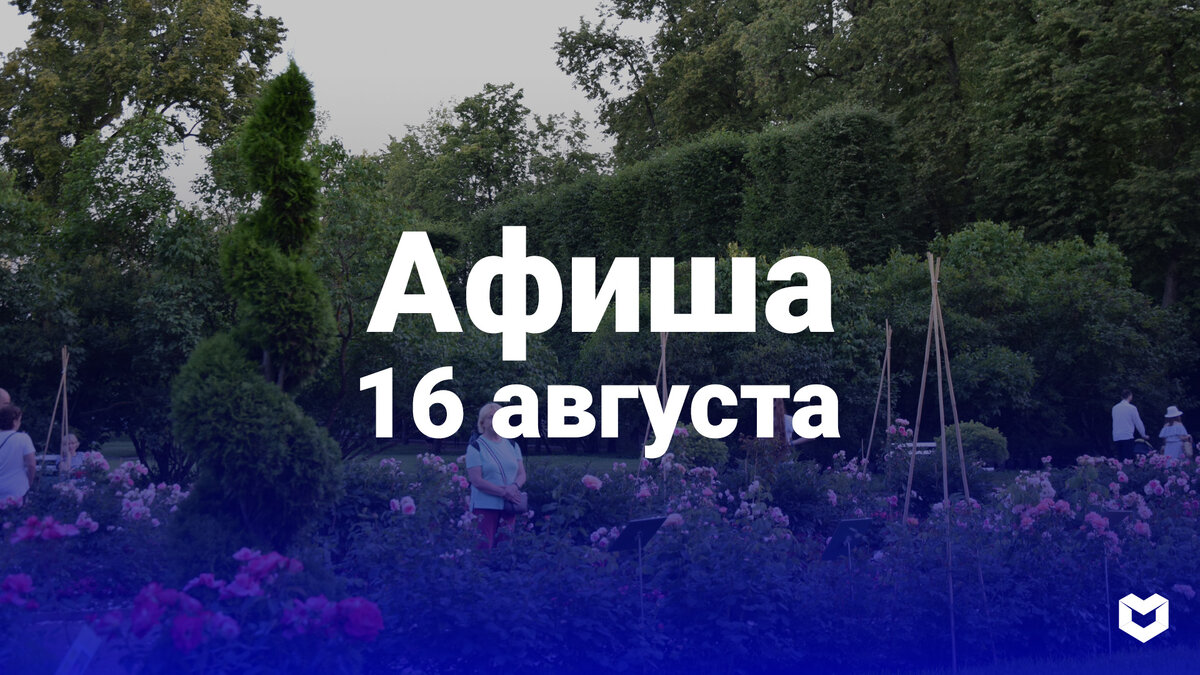 прекрасного солнечного вторника. стих про вторник смешной короткий. ведическая вторник день марса. вторник 16. вторник 16.