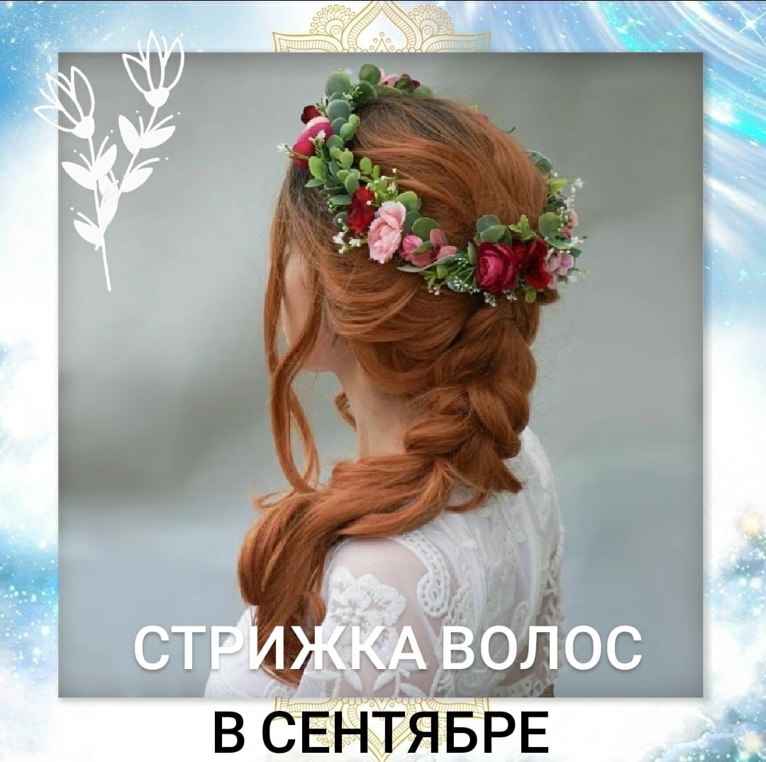 волосы стрижка волос