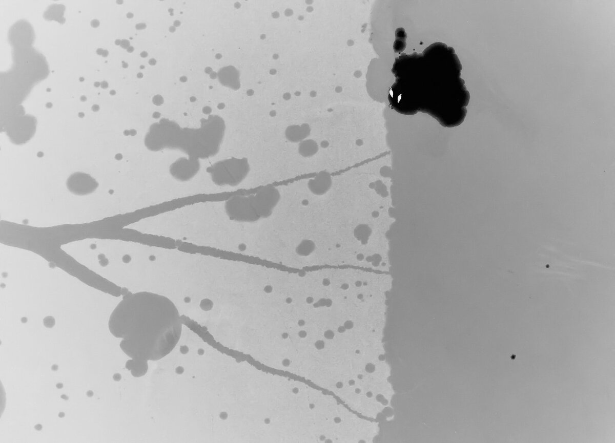 ������ ���������� ���� 2022