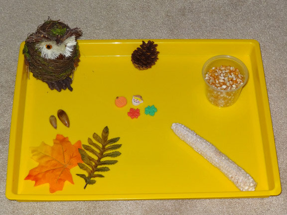 фото с https://www.giftofcuriosity.com/