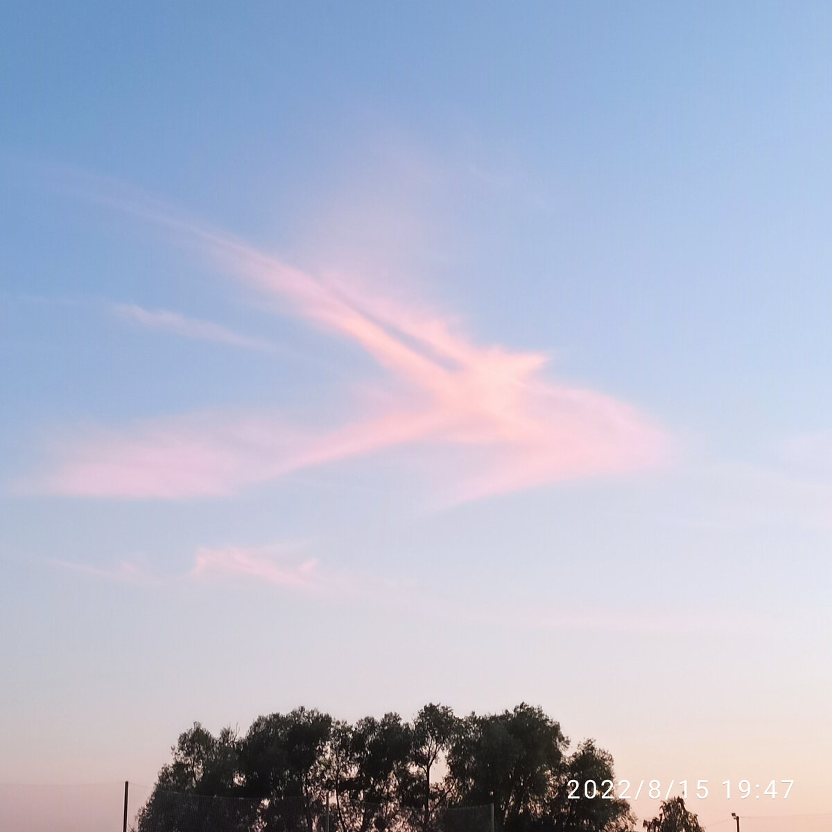 Удивительная природа 