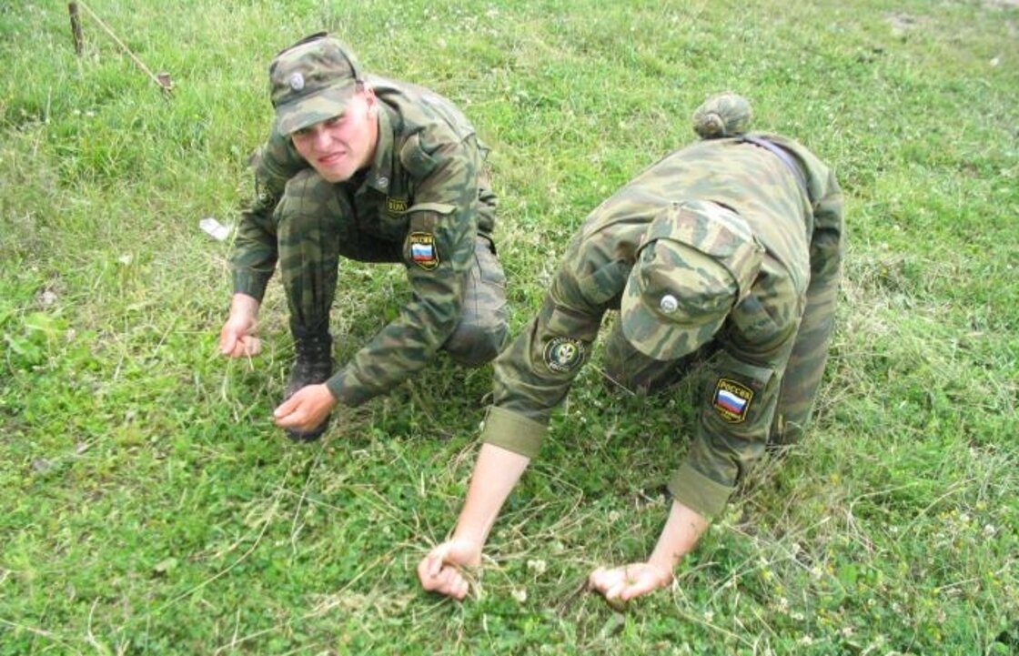 "А снится нам трава, трава у дома..."