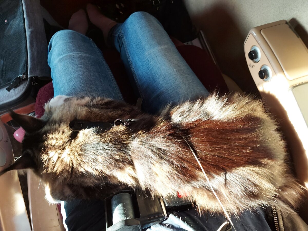 В автобусе, маршрут Аэровокзал Хабаровск-Селехино