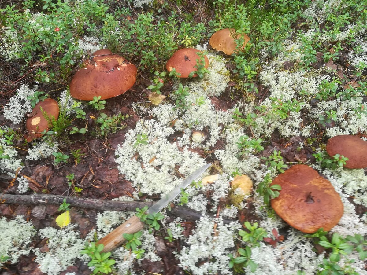 фото личные, часть выложена в моем профиле в "инстаграме" и " контакте".