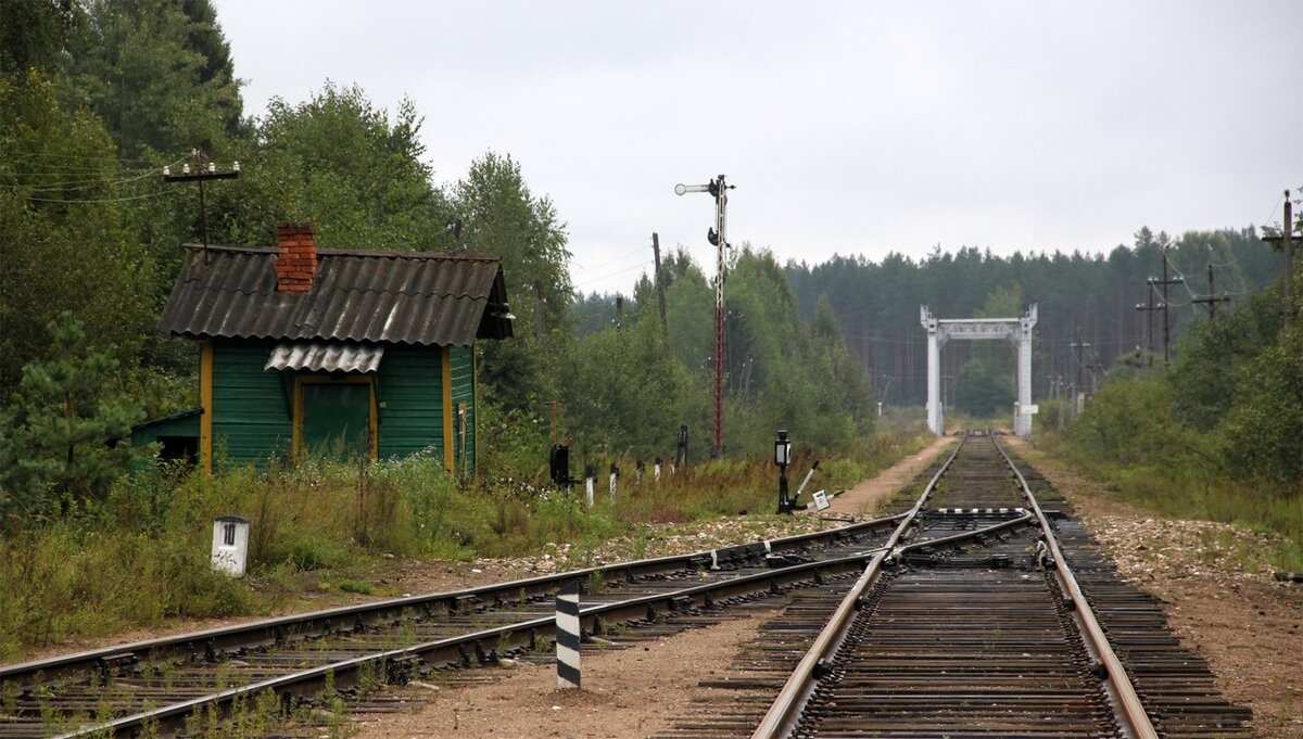 Две уникальные железнодорожные станции в Тверской области закрыли вопреки  обещаниям ОЖД | Караван Ярмарка | Дзен