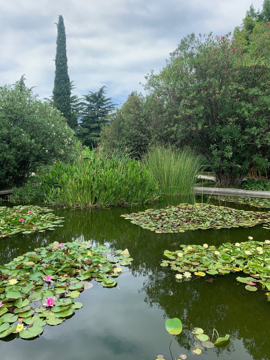На территории множество прудов с рыбами, черепахами и птичками, что прячутся в зарослях