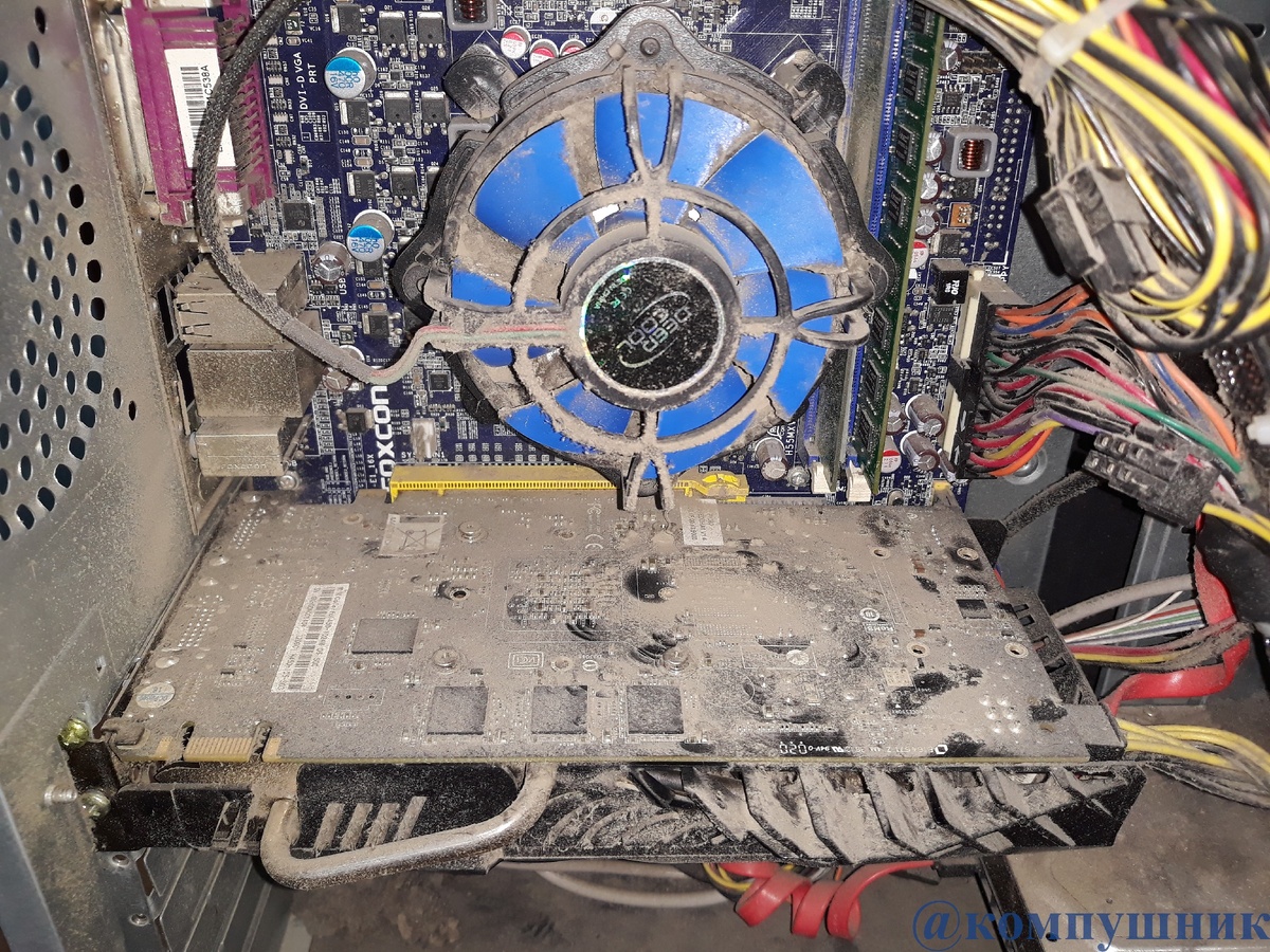 Кулер и видеокарта