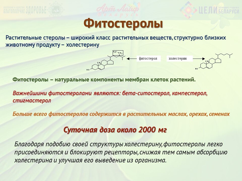 ©®Артлайф Беларусь
Фитостеролы, фитостерины (растительные стеролы) – широкий класс растительных веществ, структурно близких животному продукту – холестерину.