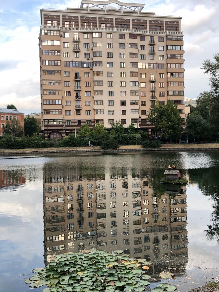 Егерское место в центре Москвы | ЖИТЬ ЗДОРОВО | Дзен