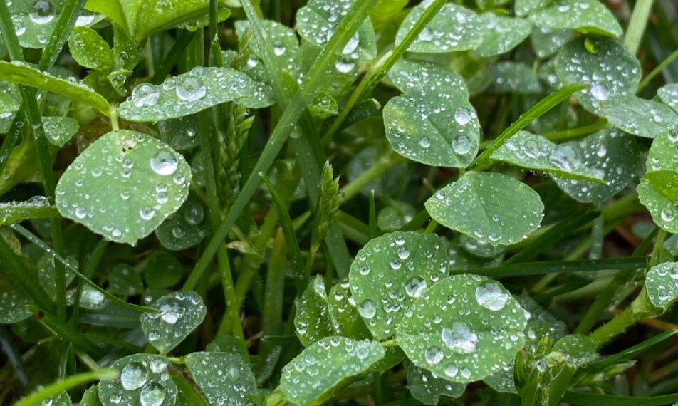 подписывайтесь на обновления и ставьте лайк капелькам на фото!