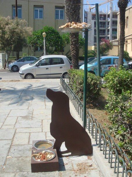 Точка питания для собак и птиц на острове Родос. 