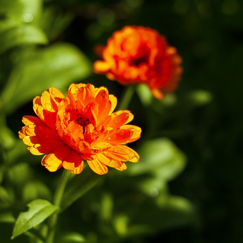 Фото Натальи Жуковой