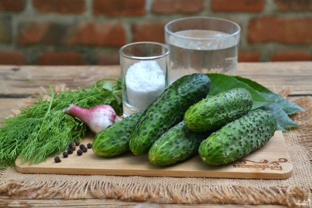 фото из поисковой системы