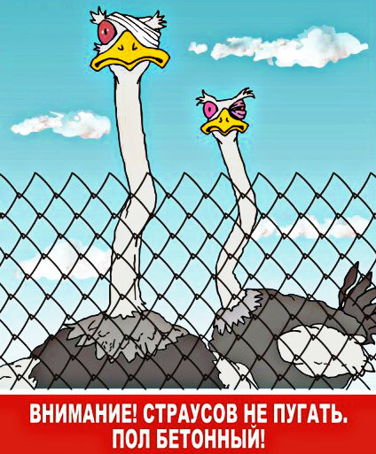 И прада, не нужно этого делать!