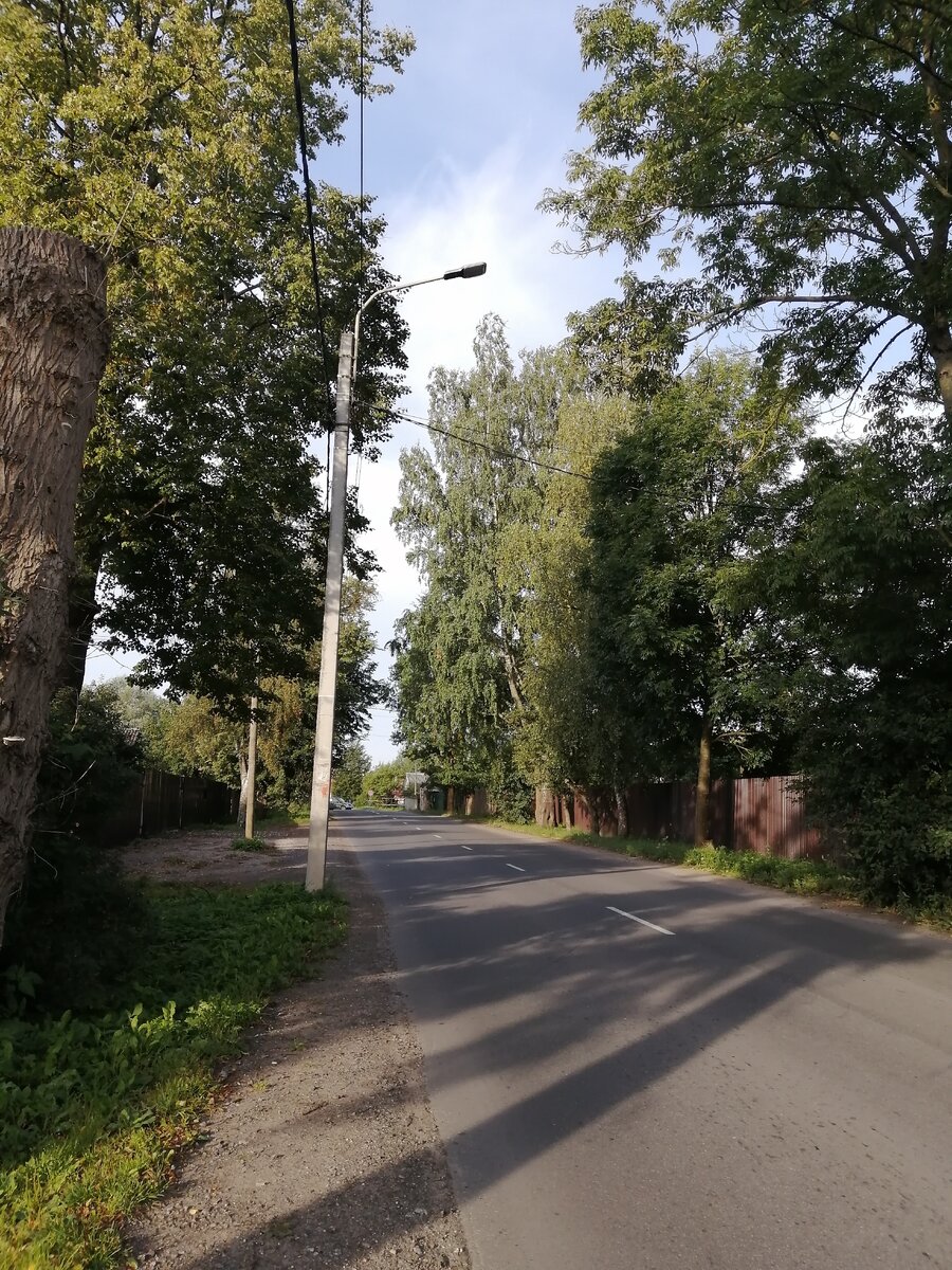 Деревяницы 
