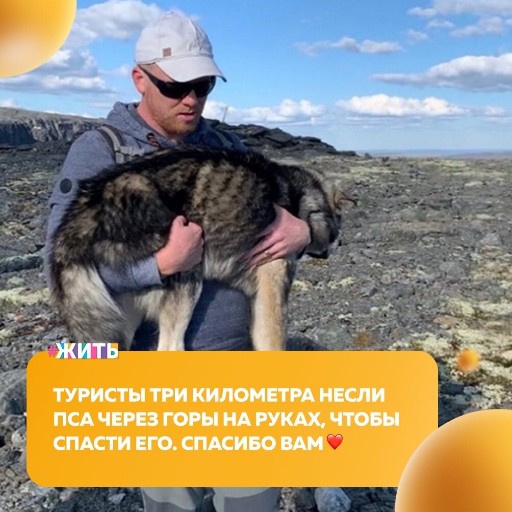 В Мурманской области туристы спасли пса, пронеся его три километра через горы💪🙏

Группа подобрала животное на перевале Геологов. Туристы взяли собаку с собой и несли на руках через Ловозерские тундры. Хозяин пса так и не нашелся, несмотря на то, что тургруппа размещала объявления в мурманских группах зоозащитников😌

Собаку отдали в приют, где она получила должный уход и защиту🙌

Спасибо этим добрым людям за то, что не оставили животное в беде и, несмотря на все трудности, смогли его спасти🤗

#жить #проектжить #добро