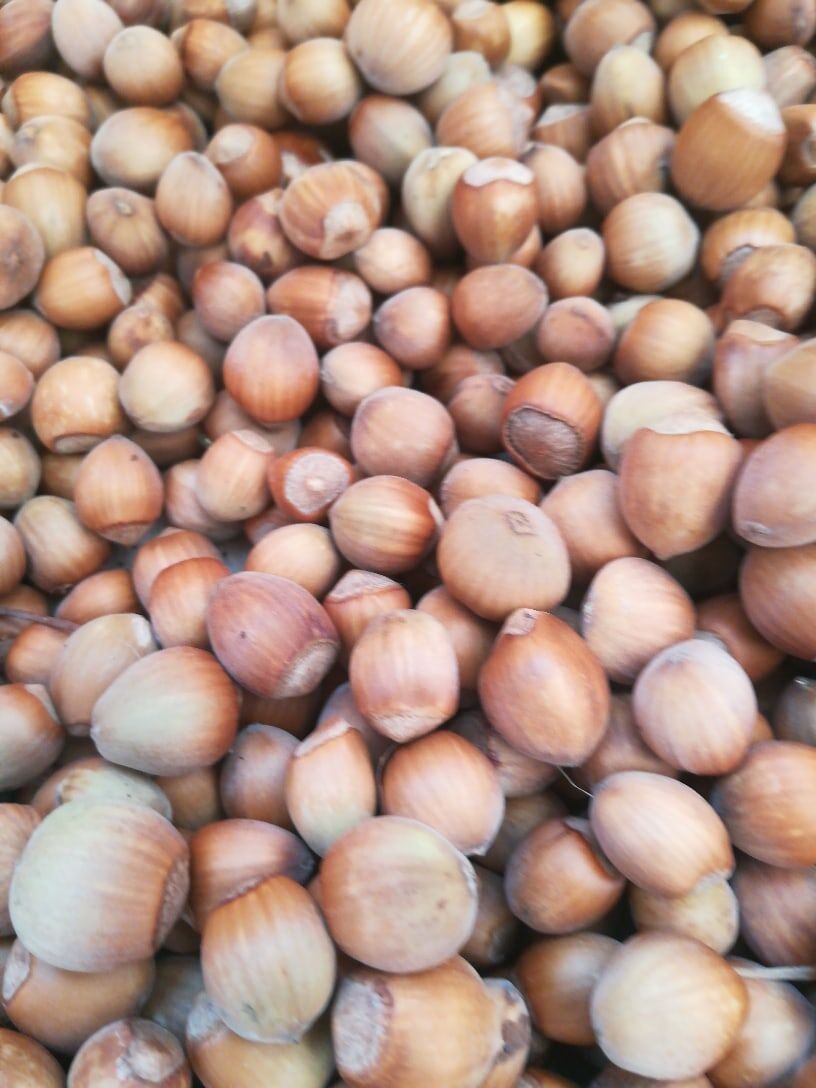 Пожалуйста подпишитесь на канал и поставьте лайк это поможет продвижению подобного контента 