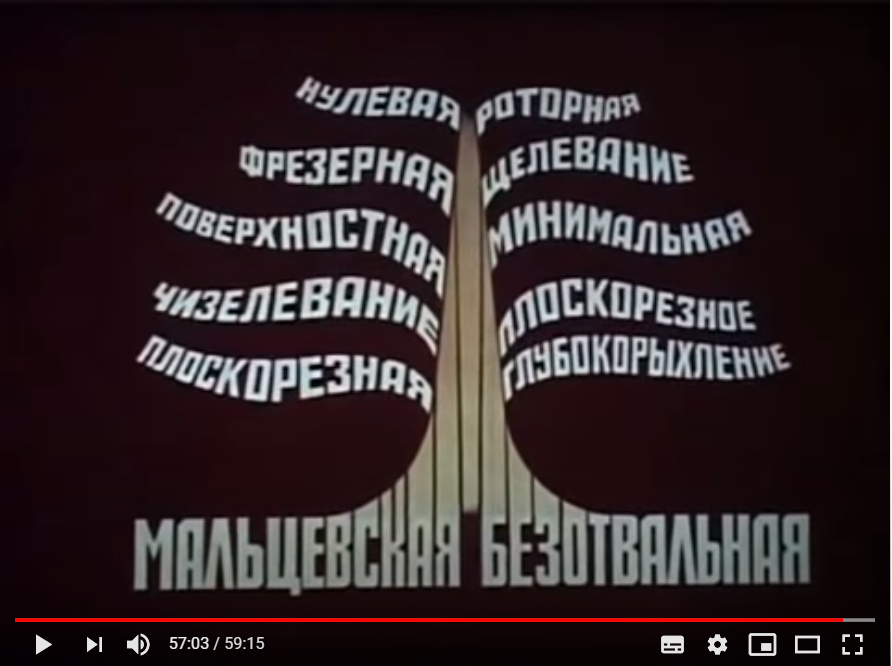 кадр из фильма "В согласии с природой"