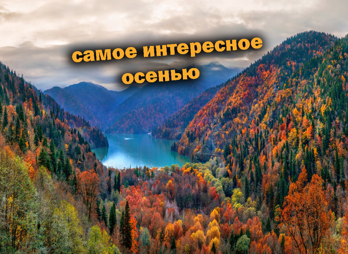 Абхазия Гагры осень