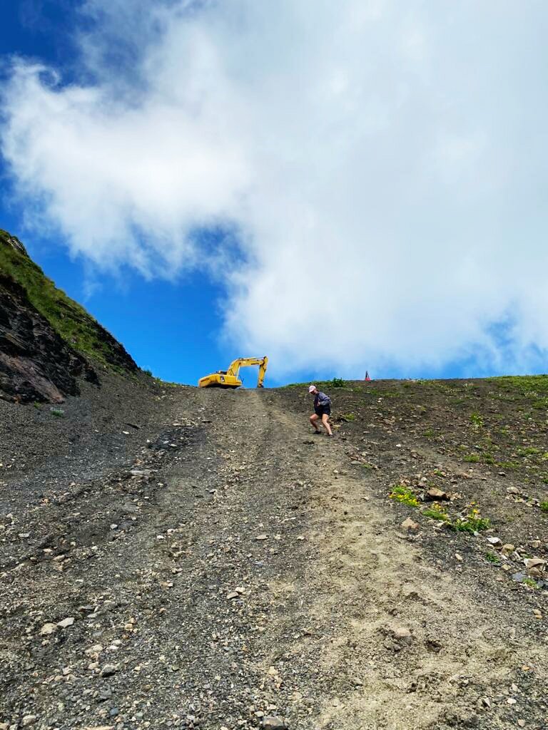 Светлана Птицына