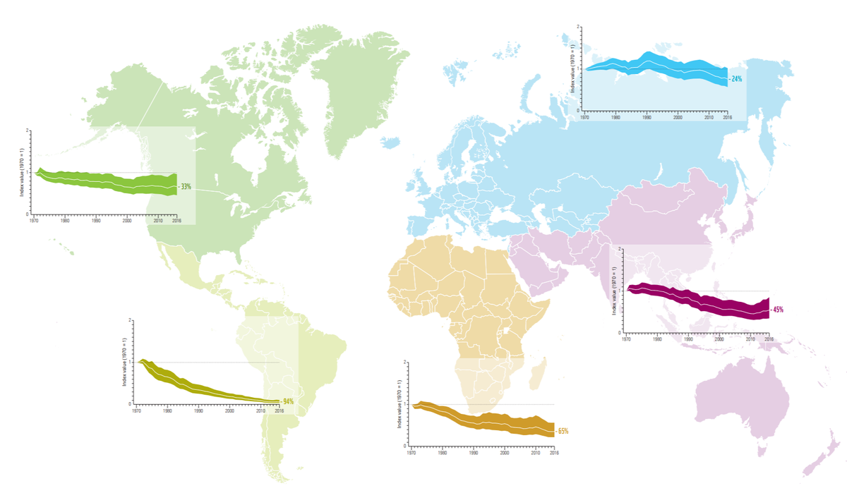 Источник: Living Planet Index